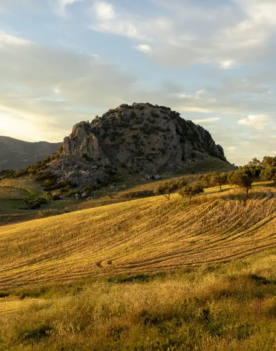 Vertical shot of the sunny hills in the countryside